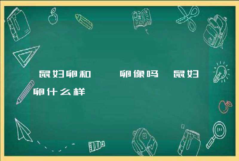 鼠妇卵和蟑螂卵像吗,鼠妇卵什么样,第1张