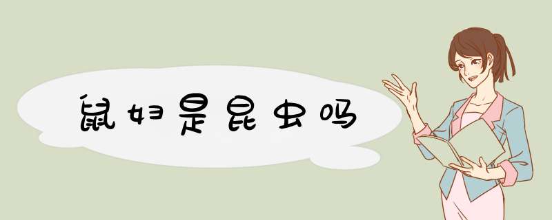 鼠妇是昆虫吗,第1张