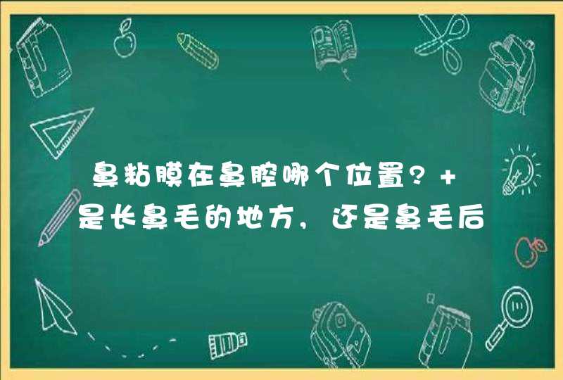 鼻粘膜在鼻腔哪个位置? 是长鼻毛的地方,还是鼻毛后面,下鼻甲周围?,第1张