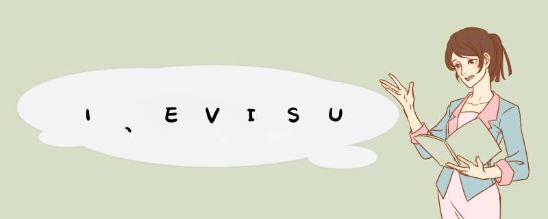 1、EVISU,第1张