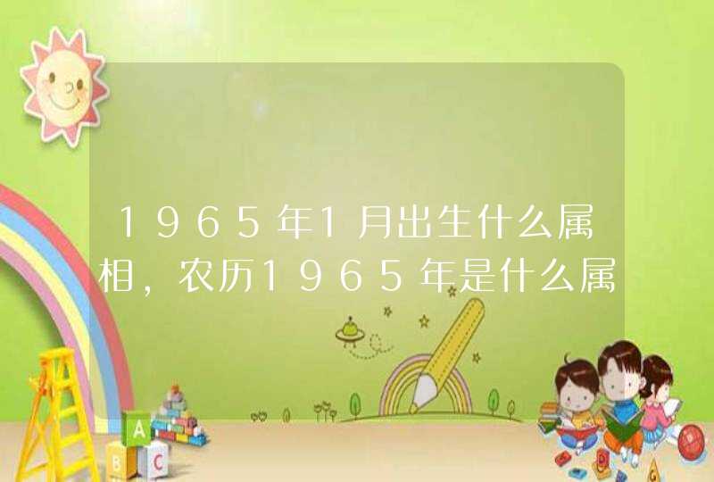 1965年1月出生什么属相，农历1965年是什么属什么生肖,第1张