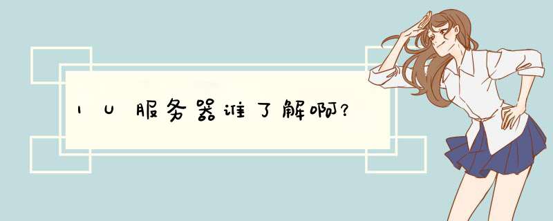 1U服务器谁了解啊？,第1张