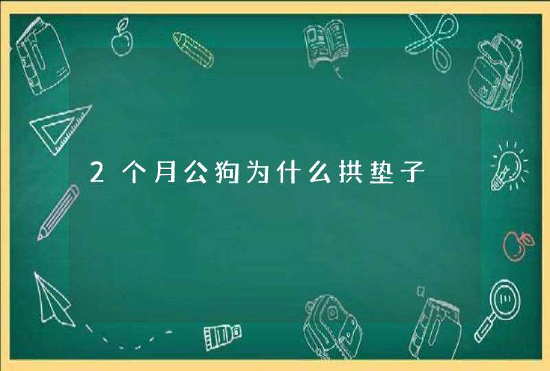 2个月公狗为什么拱垫子,第1张