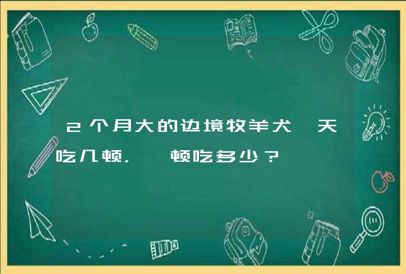 2个月大的边境牧羊犬一天吃几顿，一顿吃多少？,第1张