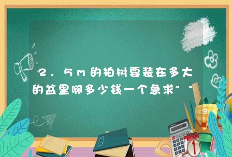 2.5m的柏树要装在多大的盆里啊多少钱一个急求~~~跪谢！,第1张