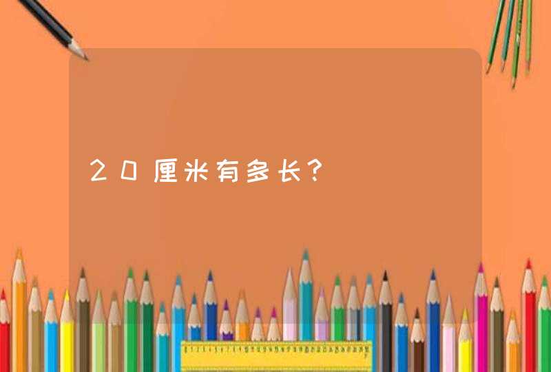 20厘米有多长?,第1张