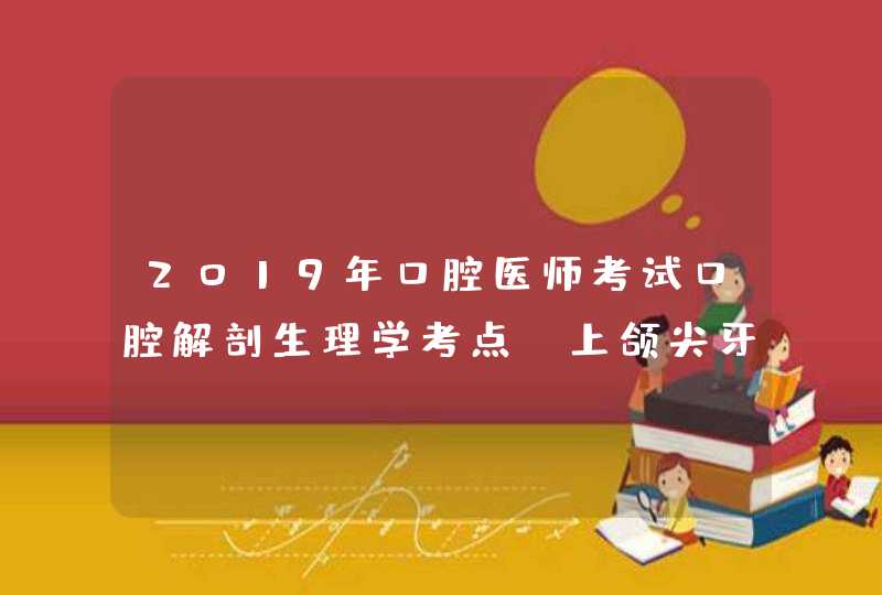 2019年口腔医师考试口腔解剖生理学考点：上颌尖牙,第1张