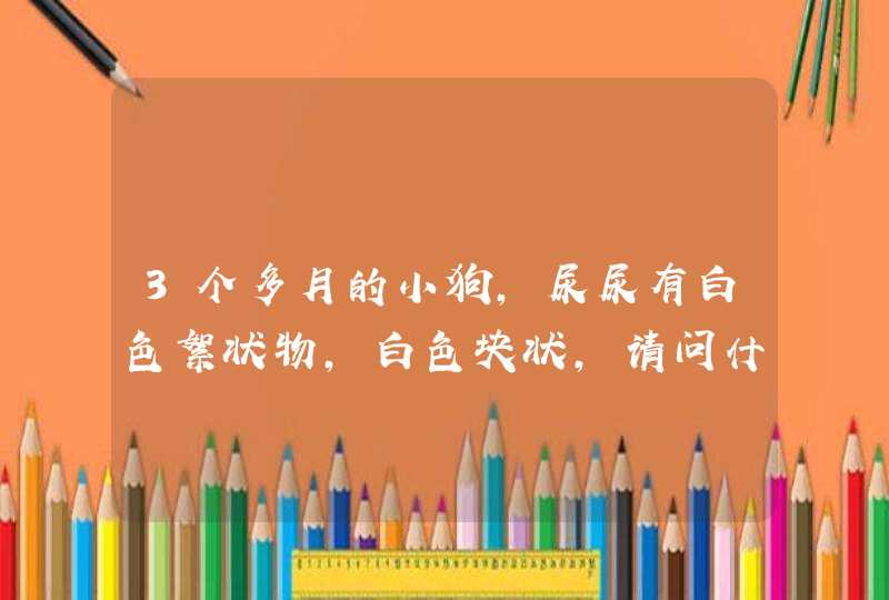 3个多月的小狗，尿尿有白色絮状物，白色块状，请问什么原因？在线等！！急！！谢谢！！,第1张