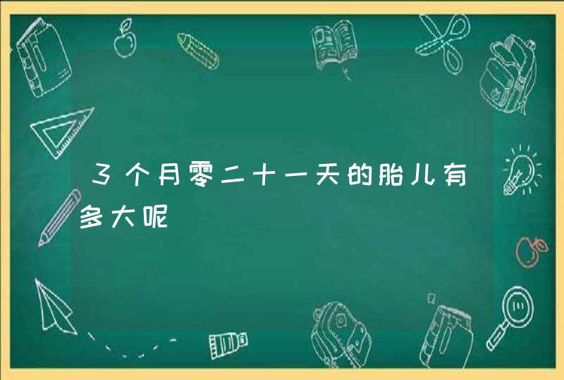 3个月零二十一天的胎儿有多大呢,第1张