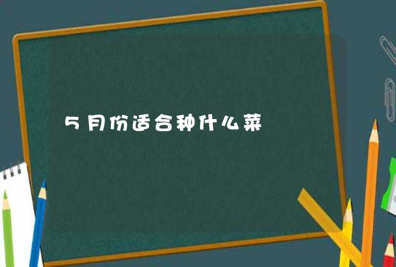 5月份适合种什么菜,第1张