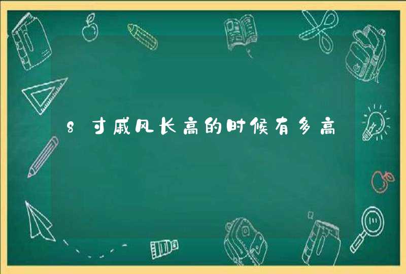 8寸戚风长高的时候有多高,第1张