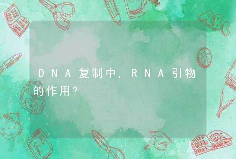 DNA复制中,RNA引物的作用?,第1张