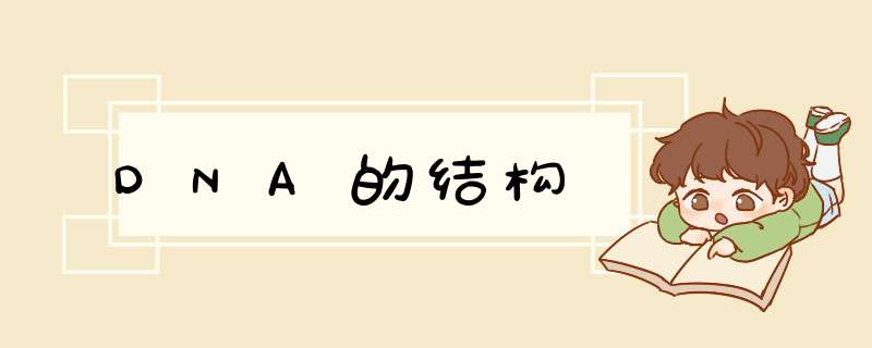 DNA的结构,第1张