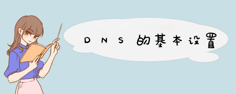 DNS的基本设置,第1张