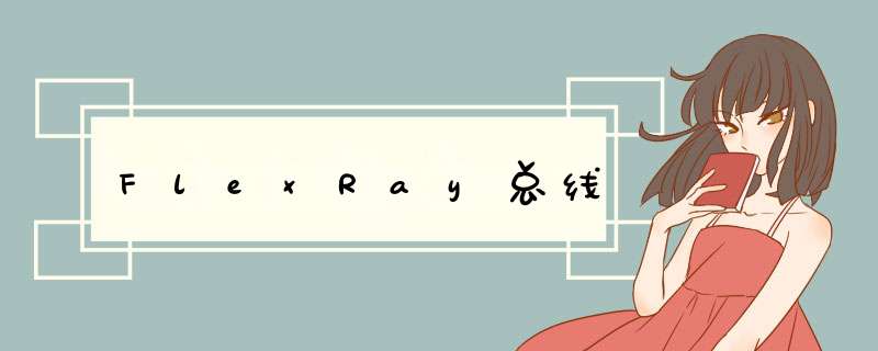 FlexRay总线,第1张