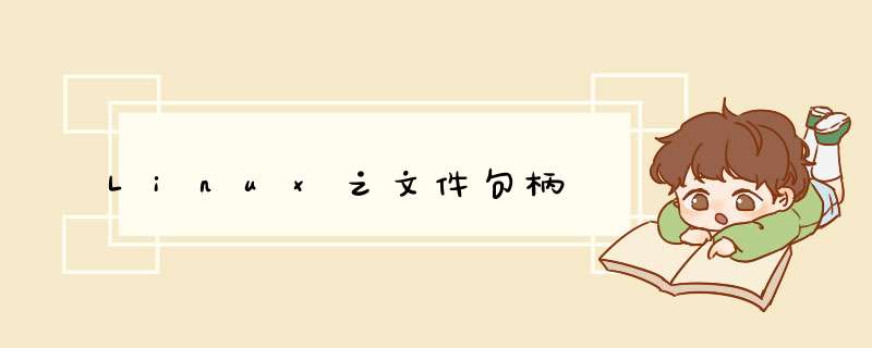 Linux之文件句柄,第1张