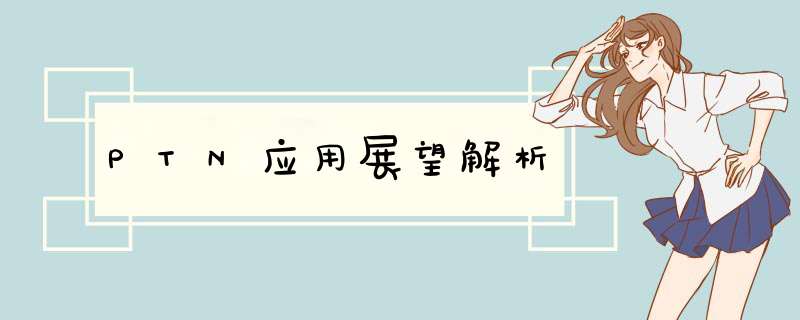 PTN应用展望解析,第1张