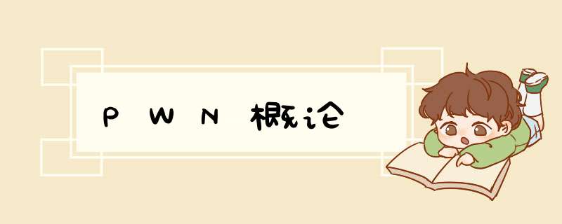 PWN概论,第1张