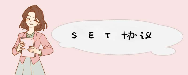 SET协议,第1张 SET协议,第1张
