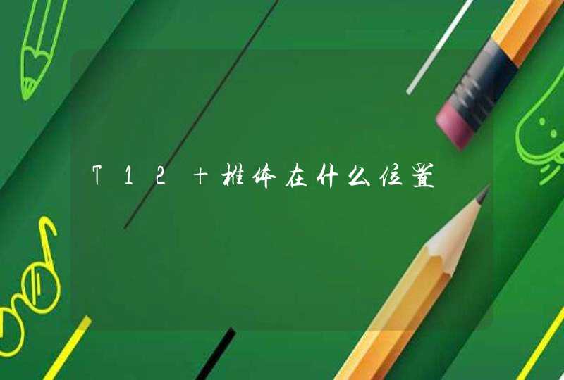 T12 椎体在什么位置,第1张