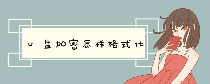 U盘加密怎样格式化,第1张 U盘加密怎样格式化,第1张