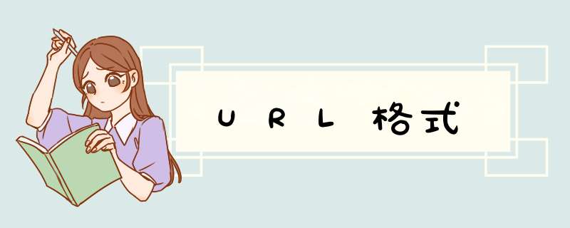 URL格式,第1张