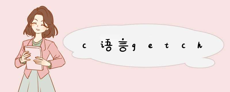 c语言getch,第1张