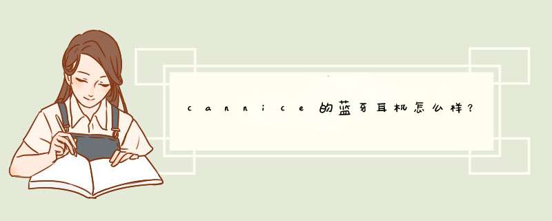 cannice的蓝牙耳机怎么样?,第1张 cannice的蓝牙耳机怎么样?,第1张