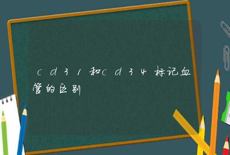 cd31和cd34标记血管的区别,第1张