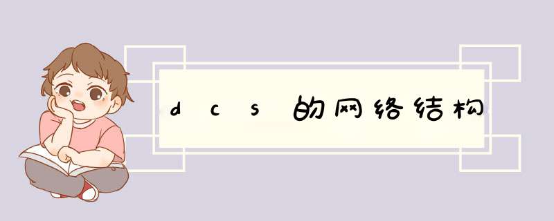 dcs的网络结构,第1张