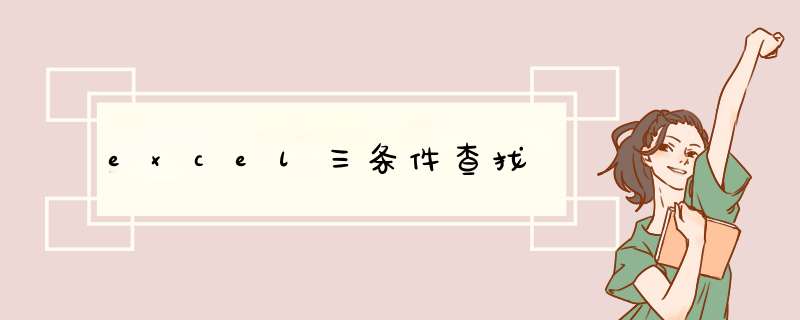 excel三条件查找,第1张