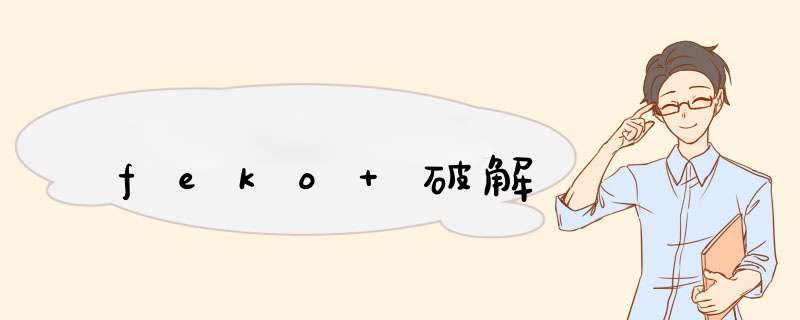 feko 破解,第1张