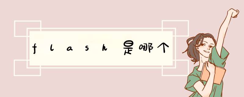 flash是哪个,第1张