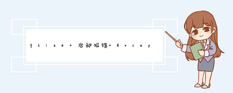 flink 启动报错 Exception in thread “main“ java.lang.NoClassDefFoundError: XXX ioTextInputFormat,第1张