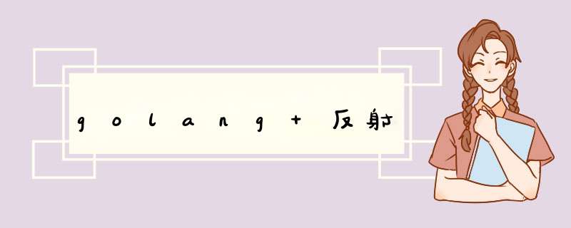 golang 反射,第1张