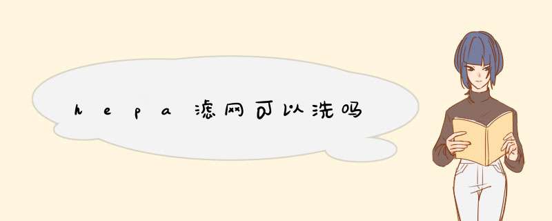 hepa滤网可以洗吗,第1张