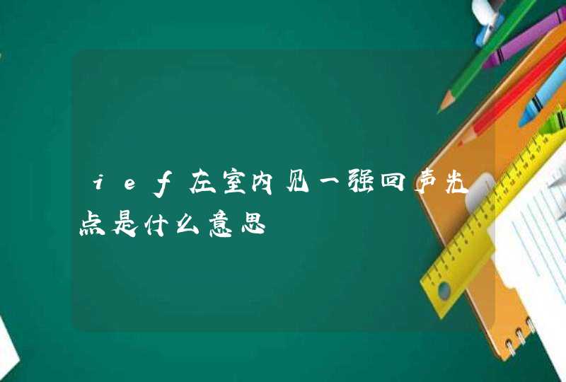 ief左室内见一强回声光点是什么意思,第1张