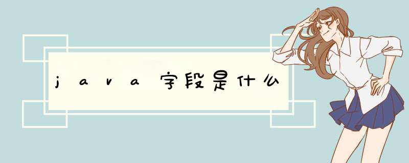 java字段是什么,第1张