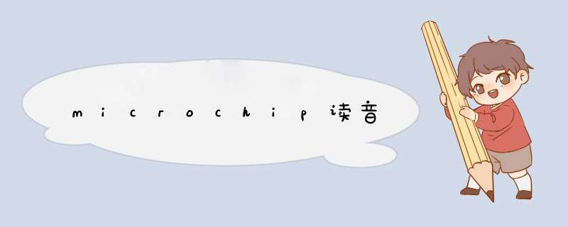 microchip读音,第1张