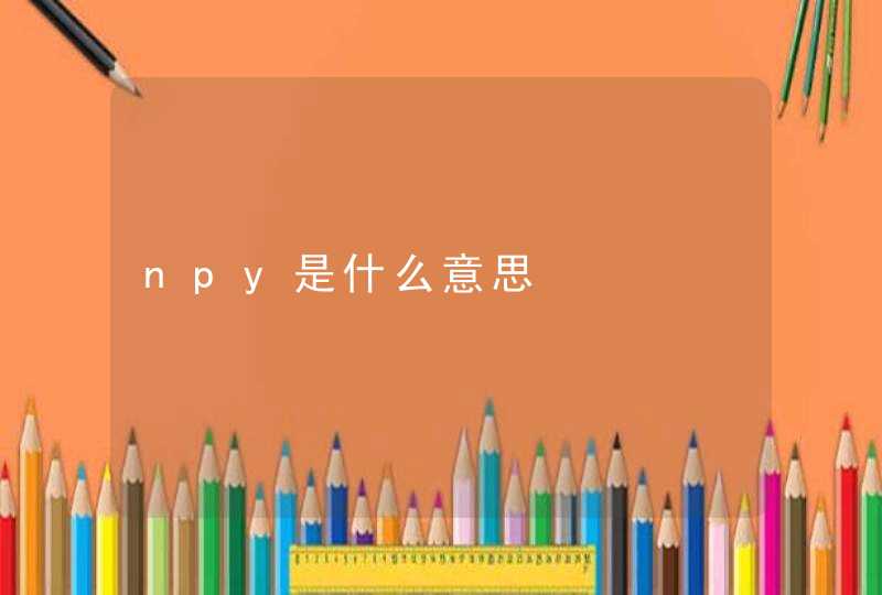 npy是什么意思,第1张