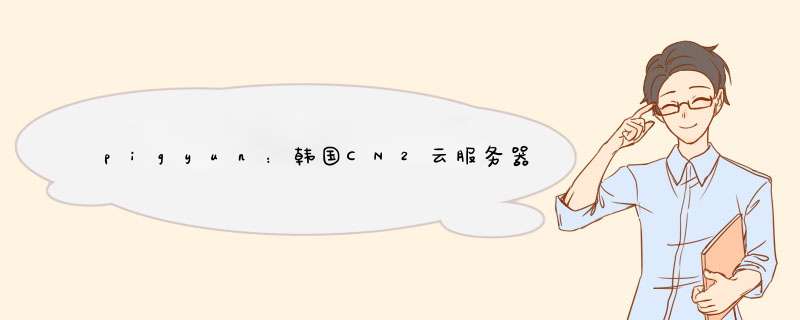 pigyun:韩国CN2云服务器,带宽、流量全部升级,加量不加价,14.4元月起,第1张 pigyun:韩国CN2云服务器,带宽、流量全部升级,加量不加价,14.4元月起,第1张