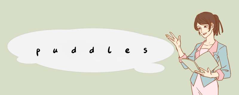 puddles,第1张