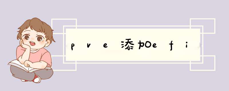 pve添加efi,第1张