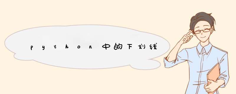 python中的下划线,第1张
