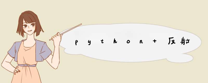 python 反射,第1张