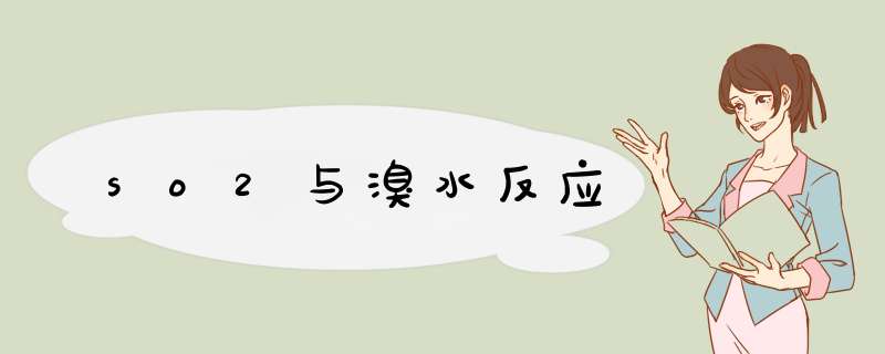 so2与溴水反应,第1张