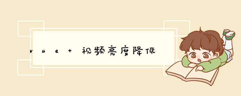 vue 视频亮度降低,第1张