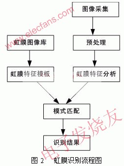 基于DSP芯片TMS320DM642的虹膜识别系统设计,第3张