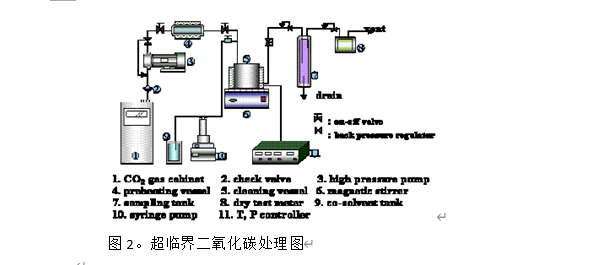 使用超临界二氧化碳剥离碳化光刻胶的实验,第2张 使用超临界二氧化碳剥离碳化光刻胶的实验,pYYBAGHyNiWAH-7BAACuqj1q9ts523.png,第2张