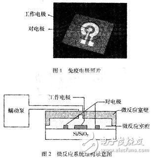 基于免疫微传感器的微流体系统,基于免疫微传感器的微流体系统,第2张